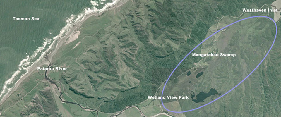 Satelite view of the wetland area
