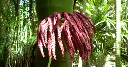 Describe the photo or the page it links to