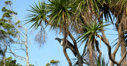 Describe the photo or the page it links to