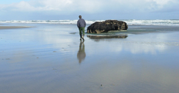Wandering along the West Coast